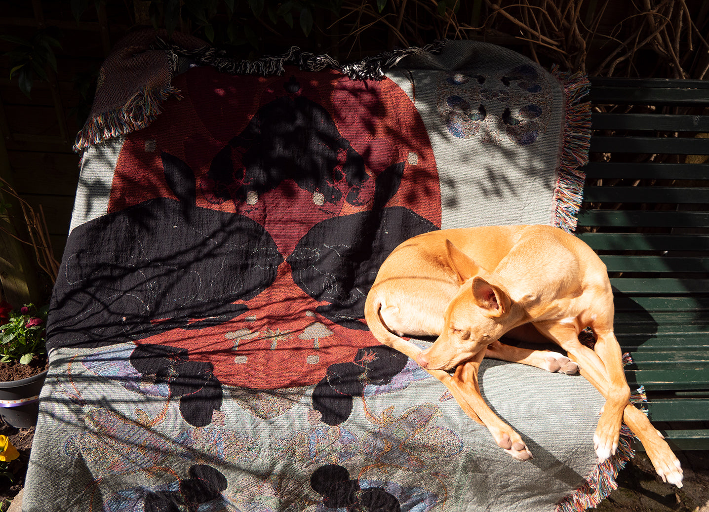 Luxe Jacquard Geweven Deken / 'Keopina'